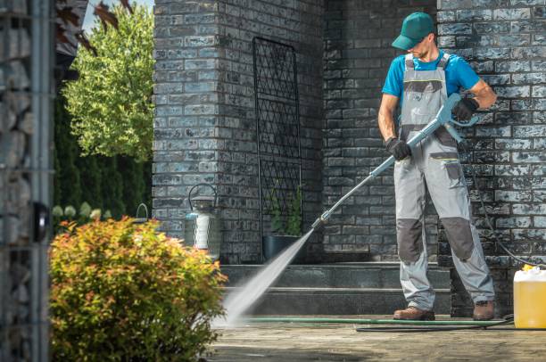 Best Solar Panel Cleaning  in Sidney, IL
