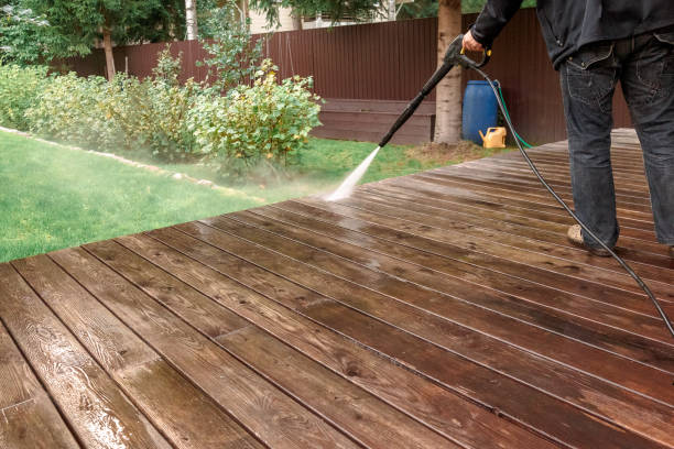 Best House Exterior Washing  in Sidney, IL