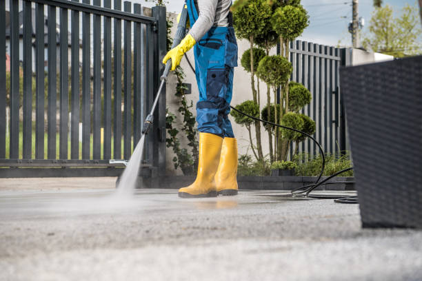 Best Roof Washing  in Sidney, IL